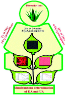 Graphical abstract: Greener saponin induced morphologically controlled various polymorphs of nanostructured iron oxide materials for biosensor applications