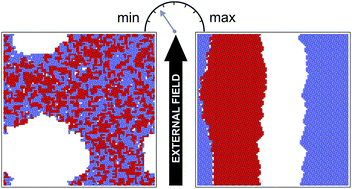 Graphical abstract: Theoretical investigations of the 2D chiral segregation induced by external directional fields