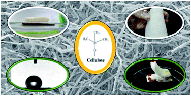 Graphical abstract: Hydrophobic and flexible cellulose aerogel as an efficient, green and reusable oil sorbent