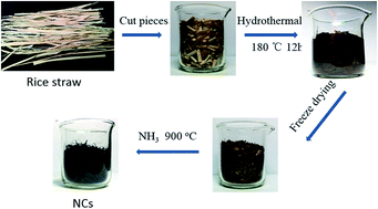Graphical abstract: Conversion of straw to nitrogen doped carbon for efficient oxygen reduction catalysts in microbial fuel cells