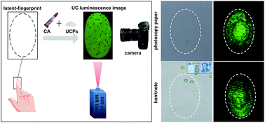Graphical abstract: Synthesis of bright upconversion submicrocrystals for high-contrast imaging of latent-fingerprints with cyanoacrylate fuming
