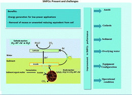 Graphical abstract: Sediment microbial fuel cells as a new source of renewable and sustainable energy: present status and future prospects