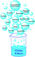 Graphical abstract: Oxime ethers as versatile precursors in organic synthesis: a review