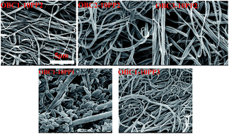 Graphical abstract: In situ formation of polypropylene (PP) fibrils in the olefinic block copolymer (OBC): effect of viscosity ratio and OBC block architecture