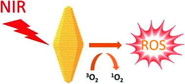Graphical abstract: Absorption-dependent generation of singlet oxygen from gold bipyramids excited under low power density
