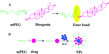 Graphical abstract: A self-assembled nanoparticle platform based on poly(ethylene glycol)–diosgenin conjugates for co-delivery of anticancer drugs