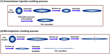 Graphical abstract: In situ nano-fibrillation of microinjection molded poly(lactic acid)/poly(ε-caprolactone) blends and comparison with conventional injection molding