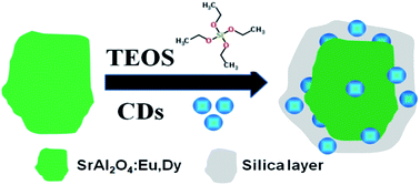 Graphical abstract: Carbon dot grafted SrAl2O4:Eu,Dy dual-emitting phosphor for ratiometric temperature sensing