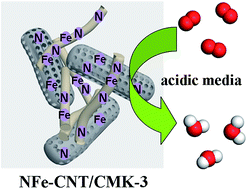 Graphical abstract: In situ formation of N- and Fe-doped carbon nanotube/mesoporous carbon nanocomposite with excellent activity for oxygen reduction in acidic media