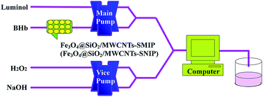 Graphical abstract: Bioreceptor multi-walled carbon nanotubes@Fe3O4@SiO2–surface molecular imprinted polymer in an ultrasensitive chemiluminescent biosensor for bovine hemoglobin