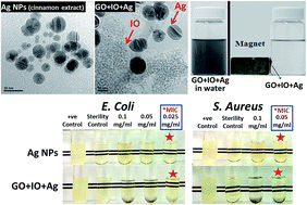 Graphical abstract: Synthesis of antibacterial and magnetic nanocomposites by decorating graphene oxide surface with metal nanoparticles