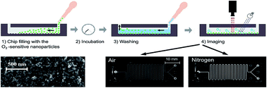 Graphical abstract: Quick and simple integration of optical oxygen sensors into glass-based microfluidic devices