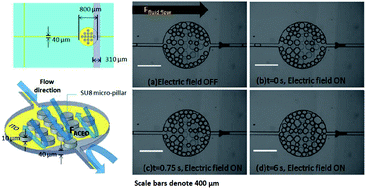 Graphical abstract: Continuous detection of trace level concentration of oil droplets in water using microfluidic AC electroosmosis (ACEO)