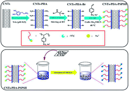 Graphical abstract: Carbon nanotube based polymer nanocomposites: biomimic preparation and organic dye adsorption applications