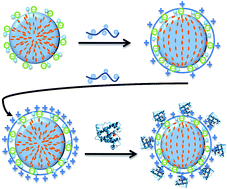 Graphical abstract: Liquid crystal droplets functionalized with charged surfactant and polyelectrolyte for non-specific protein detection