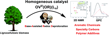 Graphical abstract: Towards lignin valorisation: comparing homogeneous catalysts for the aerobic oxidation and depolymerisation of organosolv lignin