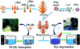 Graphical abstract: Hydroxyapatite nanoparticles on dendritic α-Fe2O3 hierarchical architectures for a heterogeneous photocatalyst and adsorption of Pb(ii) ions from industrial wastewater