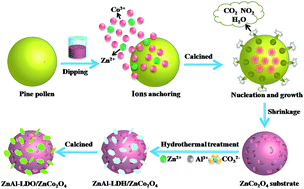 Graphical abstract: Biotemplated hierarchical porous-structure of ZnAl-LDH/ZnCo2O4 composites with enhanced adsorption and photocatalytic performance