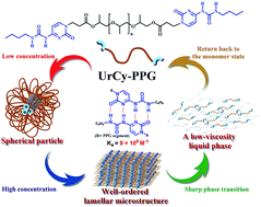 Graphical abstract: Large-scale production of ureido-cytosine based supramolecular polymers with well-controlled hierarchical nanostructures