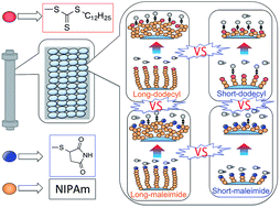 Graphical abstract: Effects of terminal group and chain length on temperature-responsive chromatography utilizing poly(N-isopropylacrylamide) synthesized via RAFT polymerization