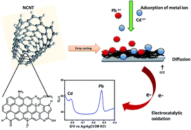 Graphical abstract: Nitrogen-doped carbon nanotubes for sensitive and selective determination of heavy metals