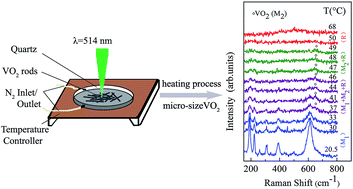 Graphical abstract: The structural phase transition process of free-standing monoclinic vanadium dioxide micron-sized rods: temperature-dependent Raman study