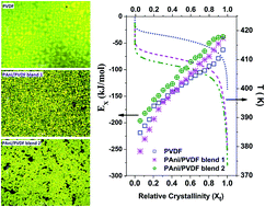 Graphical abstract: Correlation between nucleation, phase transition and dynamic melt-crystallization kinetics in PAni/PVDF blends