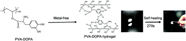 Graphical abstract: pH-dependent and self-healing properties of mussel modified poly(vinyl alcohol) hydrogels in a metal-free environment