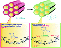 Graphical abstract: Killing cancer cells by delivering a nanoreactor for inhibition of catalase and catalytically enhancing intracellular levels of ROS