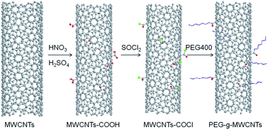 Graphical abstract: Preparation and characterization of PEG-g-MWCNTs/PSf nano-hybrid membranes with hydrophilicity and antifouling properties