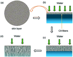 Graphical abstract: Preparation of a highly permeable alumina membrane via wet film phase inversion