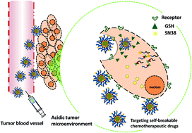 Graphical abstract: Enhanced efficacy of chemotherapeutic drugs against colorectal cancer using ligand-decorated self-breakable agents