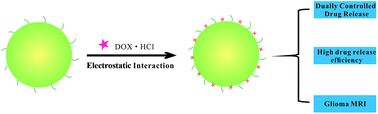 Graphical abstract: Paramagnetic, pH and temperature-sensitive polymeric particles for anticancer drug delivery and brain tumor magnetic resonance imaging