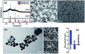 Graphical abstract: Highly sensitive and selective detection of mercury ions based on up-conversion FRET from NaYF4:Yb3+/Er3+ nanophosphors to CdTe quantum dots