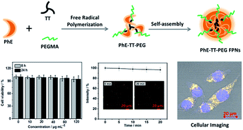 Graphical abstract: Fabrication of photostable PEGylated polymer nanoparticles from AIE monomer and trimethylolpropane triacrylate