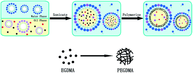 Graphical abstract: Polymerization mechanism of poly(ethylene glycol dimethacrylate) fragrance nanocapsules