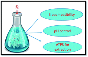 Graphical abstract: Self-buffering and biocompatible ionic liquid based biological media for enzymatic research