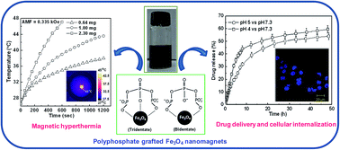 Graphical abstract: Water-dispersible polyphosphate-grafted Fe3O4 nanomagnets for cancer therapy