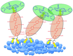 Graphical abstract: A supramolecular assembling of zinc porphyrin with a π-conjugated oligo(phenylenevinylene) (oPPV) molecular wire for dye sensitized solar cell