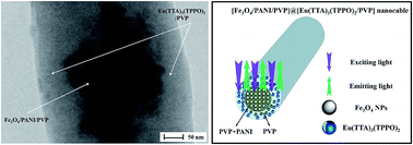 Graphical abstract: Direct electrospinning construction of nanocables with electrical conductive-magnetic core and insulative-photoluminescent sheath