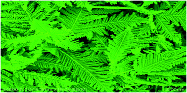 Graphical abstract: Fast electrodeposition, influencing factors and catalytic properties of dendritic Cu–M (M = Ni, Fe, Co) microstructures