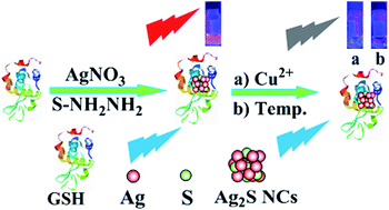 Graphical abstract: Glutathione-directed synthesis of luminescent Ag2S nanoclusters as nanosensors for copper(ii) ions and temperature