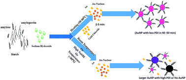 Graphical abstract: Controlled modification of starch in the synthesis of gold nanoparticles with tunable optical properties and their application in heavy metal sensing