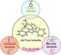 Graphical abstract: Effect of N-based additive on the optimization of liquid phase oxidation of bicyclic, cyclic and aromatic alcohols catalyzed by dioxidomolybdenum(vi) and oxidoperoxidomolybdenum(vi) complexes