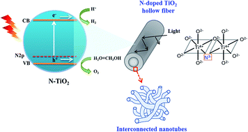 Graphical abstract: Highly porous N-doped TiO2 hollow fibers with internal three-dimensional interconnected nanotubes for photocatalytic hydrogen production