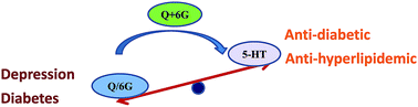 Graphical abstract: Synergistic effect of quercetin and 6-gingerol treatment in streptozotocin induced type 2 diabetic rats and poloxamer P-407 induced hyperlipidemia