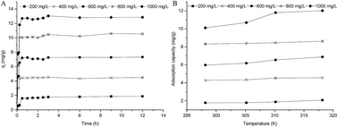 Graphical abstract: Adsorption of EDTA onto calcium oxalate monohydrate