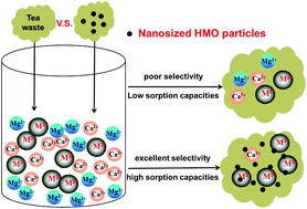 Graphical abstract: Tea waste-supported hydrated manganese dioxide (HMO) for enhanced removal of typical toxic metal ions from water