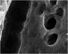 Graphical abstract: A one-pot synthesis of nanostructured mesoporous TiO2 films on graphite felt substrates for fast catalysis