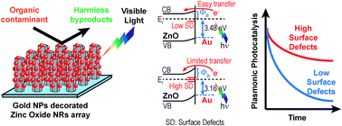 Graphical abstract: Role of surface defects on visible light enabled plasmonic photocatalysis in Au–ZnO nanocatalysts